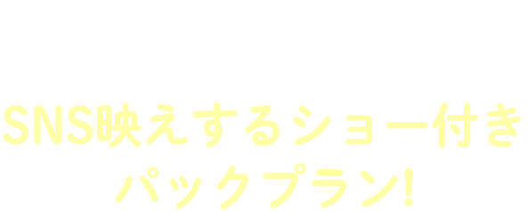 plan02 SNS映えするショー付きパックプラン!